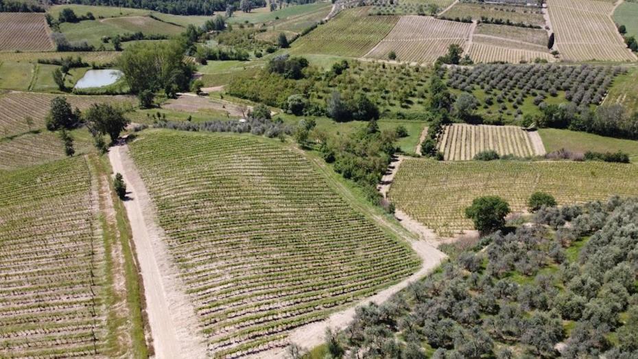 Poggio Al Sole Apartment *